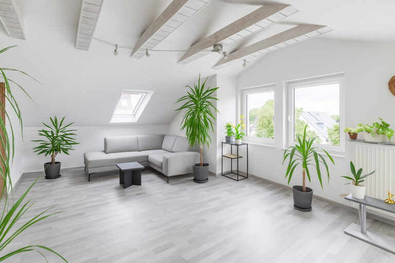 modern und clean